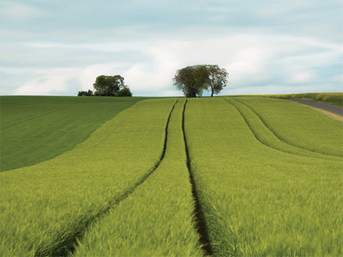 Injectez votre biométhane dans le réseau de transport