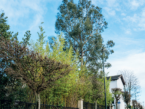 Le Sipperec renforce son dispositif de lutte contre la précarité énergétique